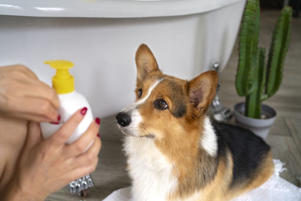 best dog toothpaste