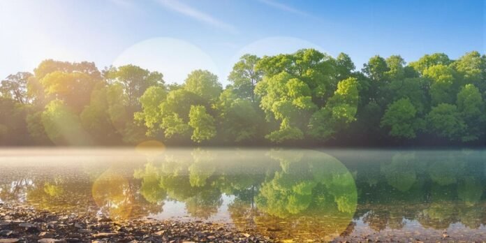 Serene lake reflecting green trees under blue sky.